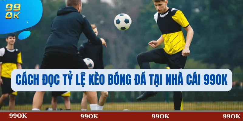 Cách Đọc Tỷ Lệ Kèo Bóng Đá Tại Nhà Cái 99OK