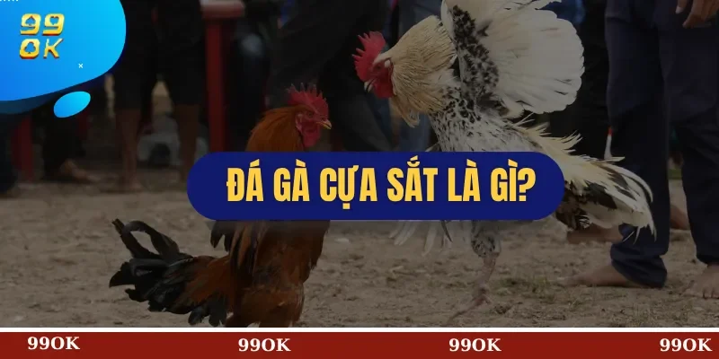 Đá Gà Cựa Sắt Là Gì?