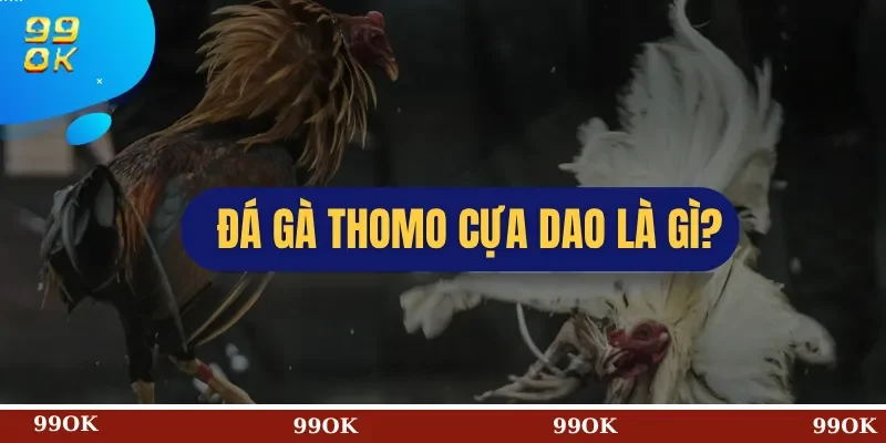 Đá Gà Thomo Cựa Dao Là Gì?