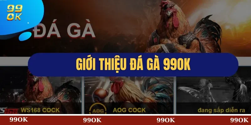 Giới Thiệu Đá Gà 99OK