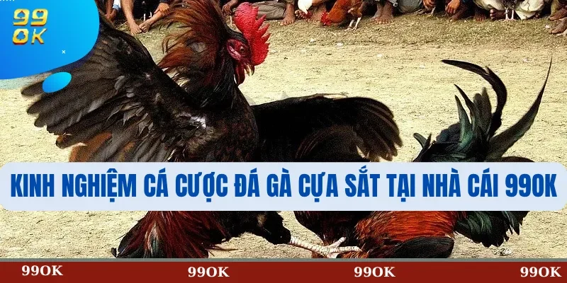 Kinh Nghiệm Cá Cược Đá Gà Cựa Sắt Tại Nhà Cái 99OK