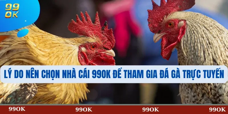 Lý Do Nên Chọn Nhà Cái 99OK Để Tham Gia Đá Gà Trực Tuyến