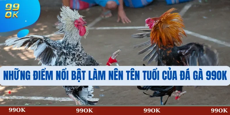 Những Điểm Nổi Bật Làm Nên Tên Tuổi Của Đá Gà 99OK