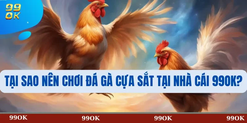 Tại Sao Nên Chơi Đá Gà Cựa Sắt Tại Nhà Cái 99OK?